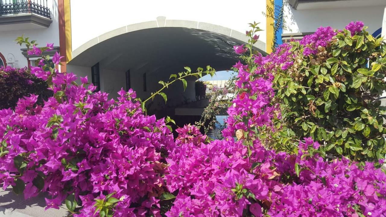 Casa Little Venice In ปวยร์โต เด มอแกน ภายนอก รูปภาพ